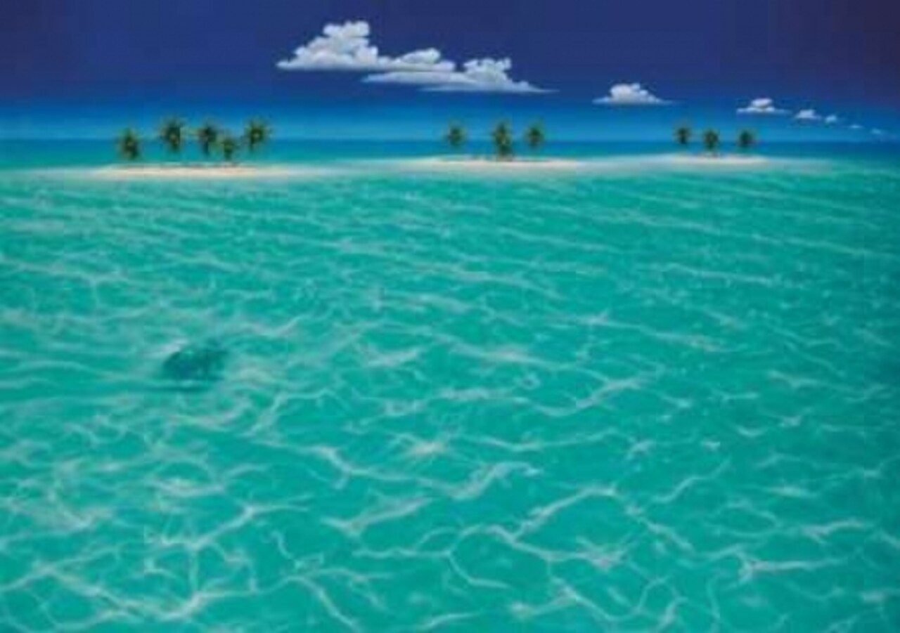 Turtle Crossing Poster Print by Dan Mackin - Item # VARPDXMDP401